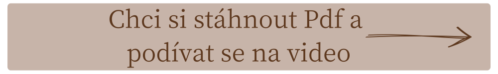 Stáhnout pdf